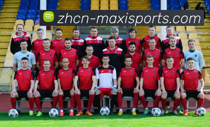 体育下注平台生态图